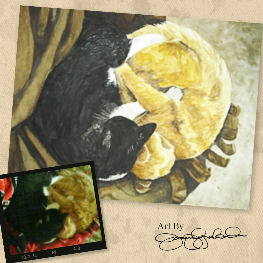 Two Cats — Yin & Yang